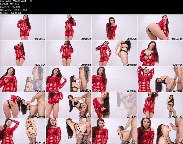 Meana Wolf - The Perfect Cuckold Meana Wolf - The Perfect Cuckold