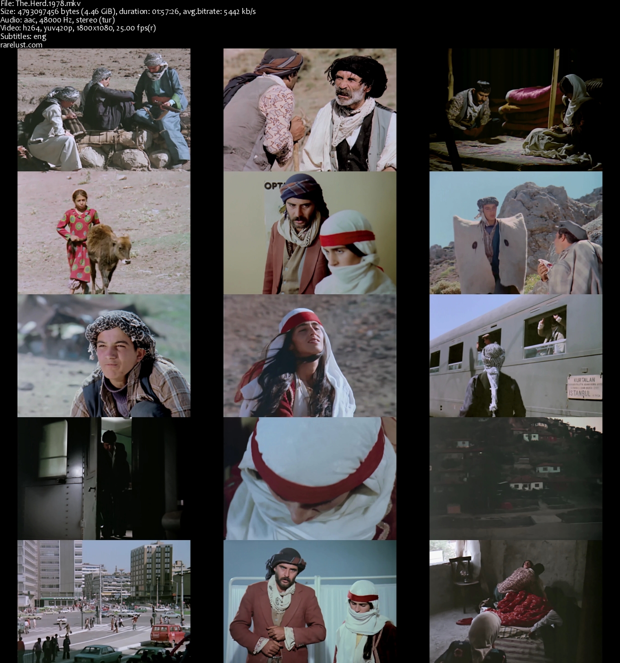 The Herd (1978) Rarelust