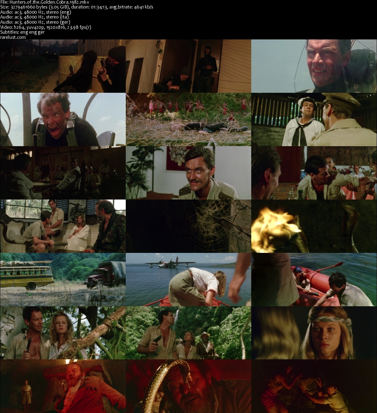 Hunters of the Golden Cobra (1982) Rarelust